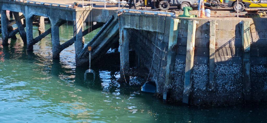 burrow tech wharf new zealand
