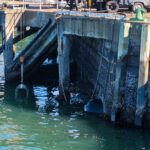 burrow tech wharf new zealand