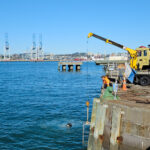 side view of navy dock in new zealand