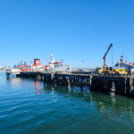 navy dock new zealand