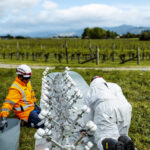 spring creek burrow tech project